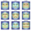 NPR faces and names
